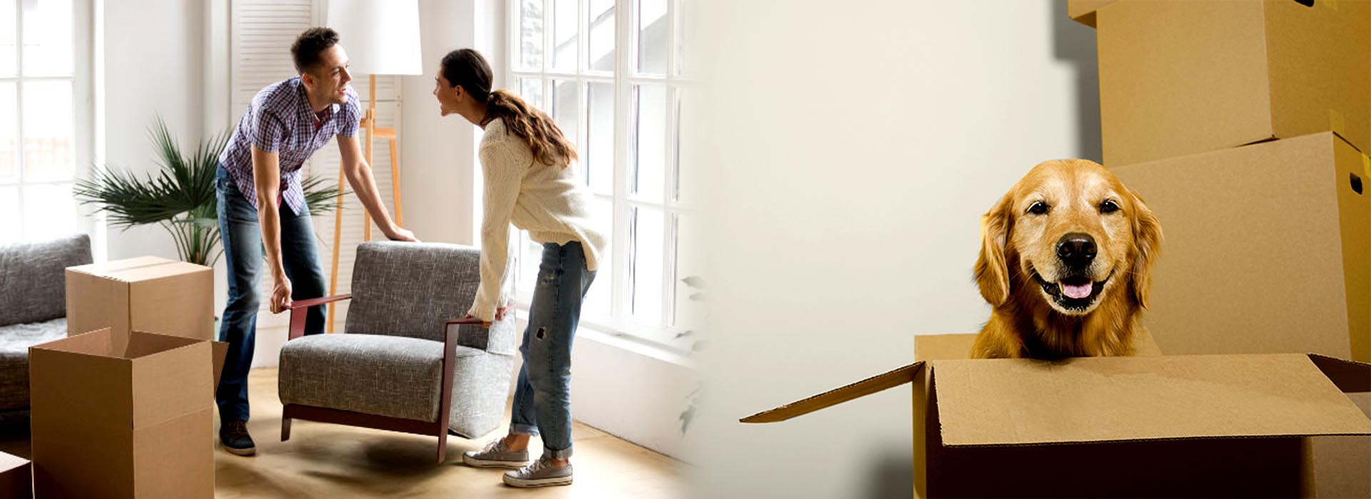  Bhardwaj Cargo Logistic Packers and Movers